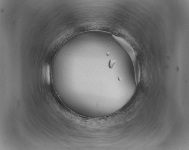 X0000067830022200604131212