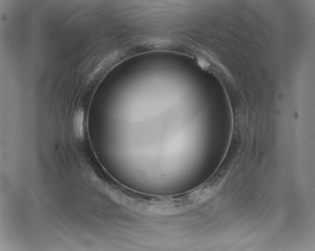 X0000067830024200604131212