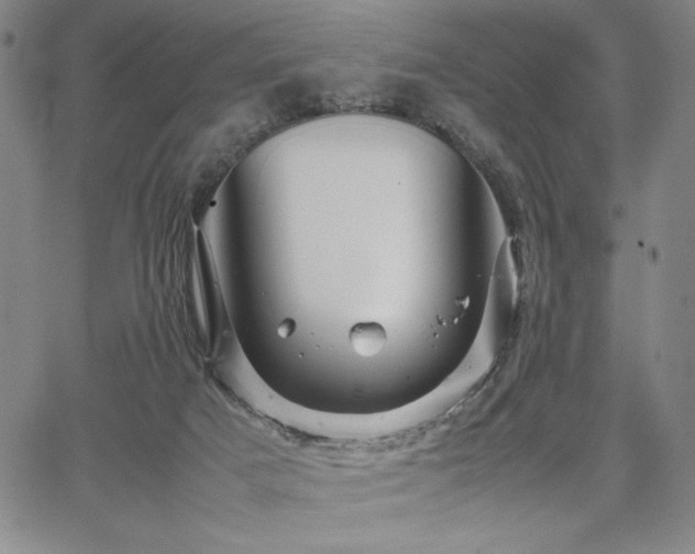 X0000067830025200604131212