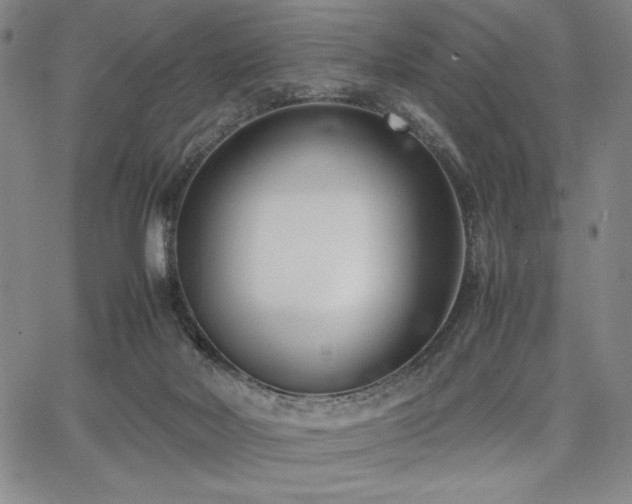 X0000067830026200604131212