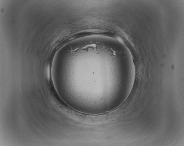 X0000067830027200604131212