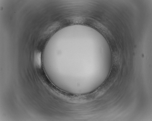 X0000067830028200604131212