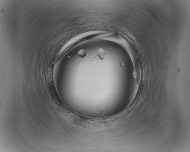 X0000067830029200604131212