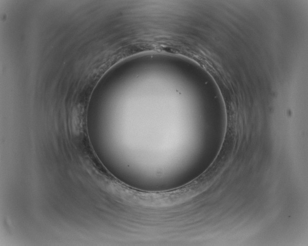 X0000067830030200604131212