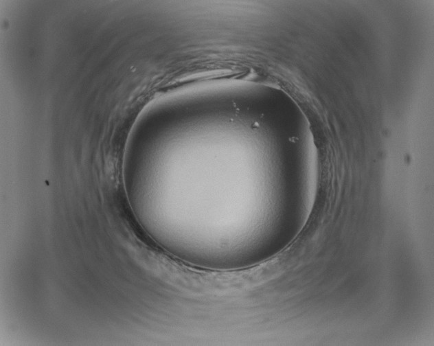 X0000067830031200604131212