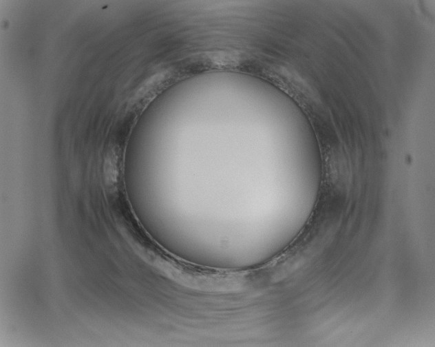 X0000067830032200604131212