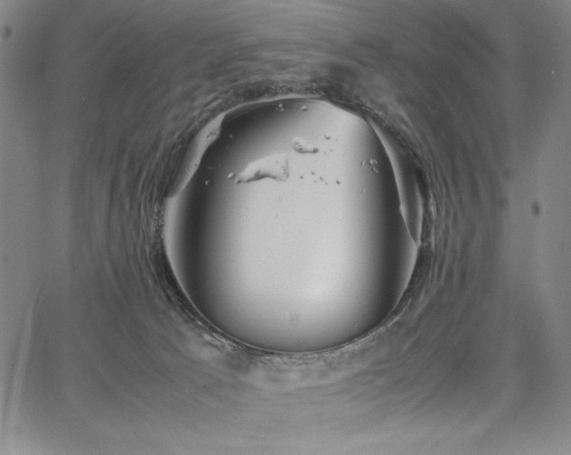 X0000067830033200604131212