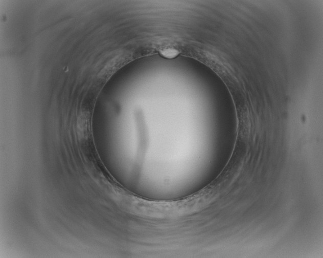 X0000067830034200604131212