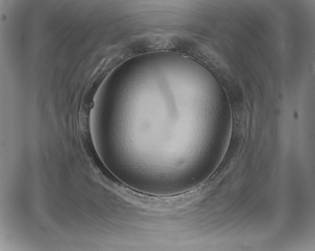 X0000067830035200604131212