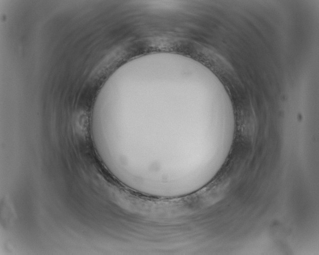 X0000067830036200604131212