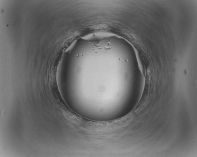 X0000067830037200604131212