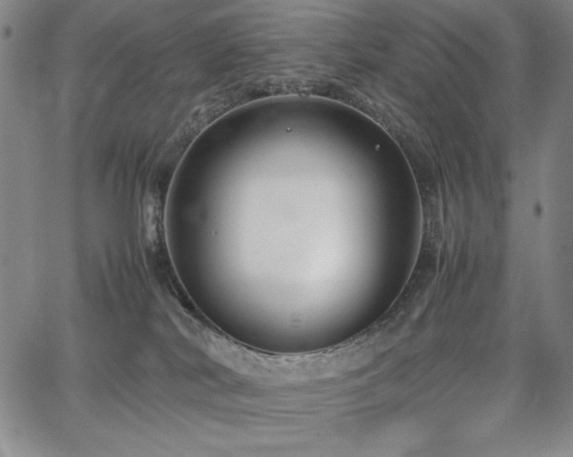 X0000067830038200604131212