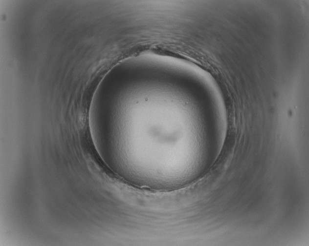 X0000067830039200604131212