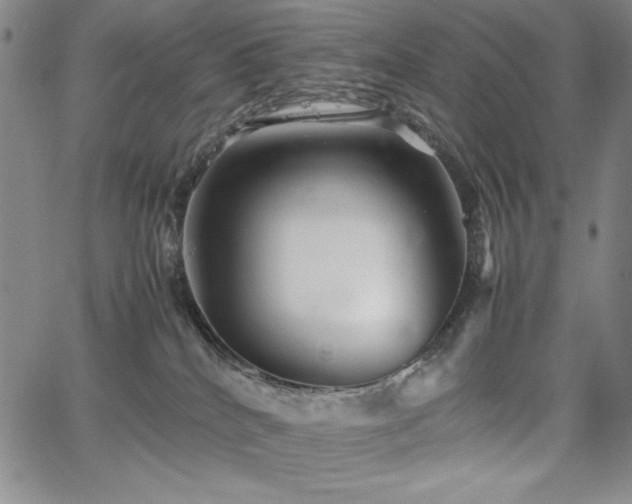 X0000067830040200604131212