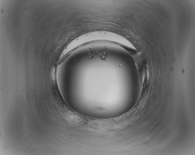 X0000067830041200604131212