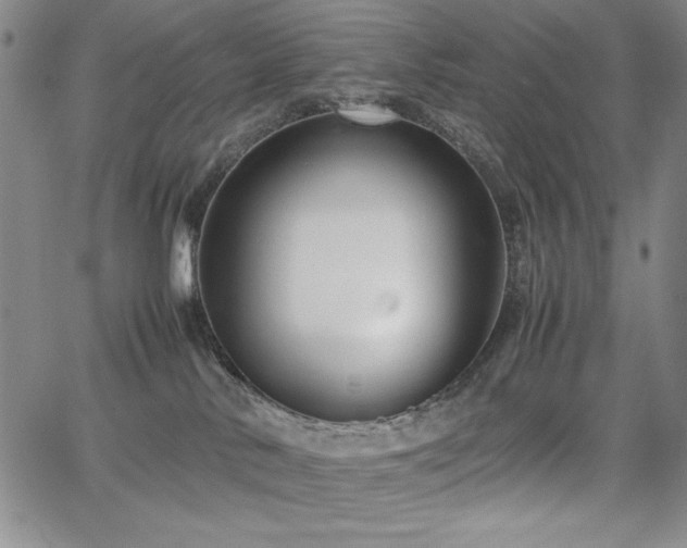 X0000067830042200604131212