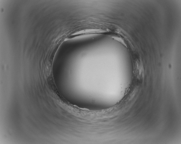 X0000067830043200604131212