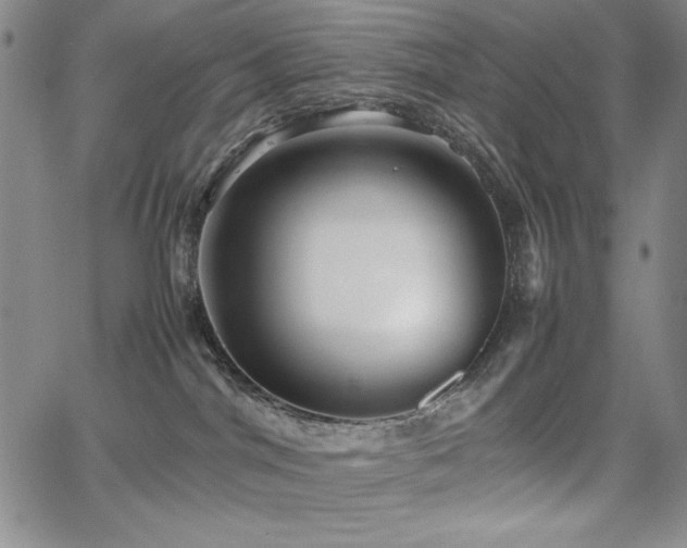 X0000067830044200604131212