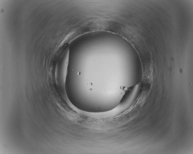 X0000067830045200604131212