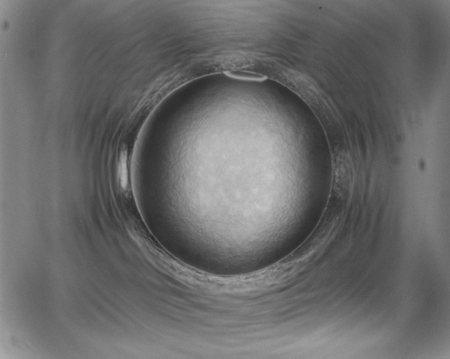 X0000067830046200604131212