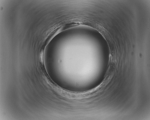 X0000067830047200604131212