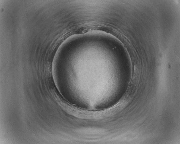 X0000067830048200604131212