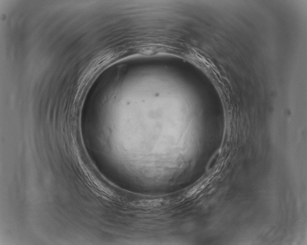 X0000067830049200604131211