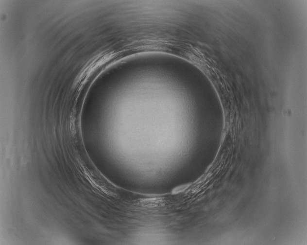 X0000067830050200604131211