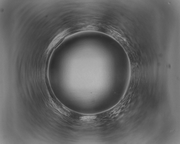 X0000067830051200604131211