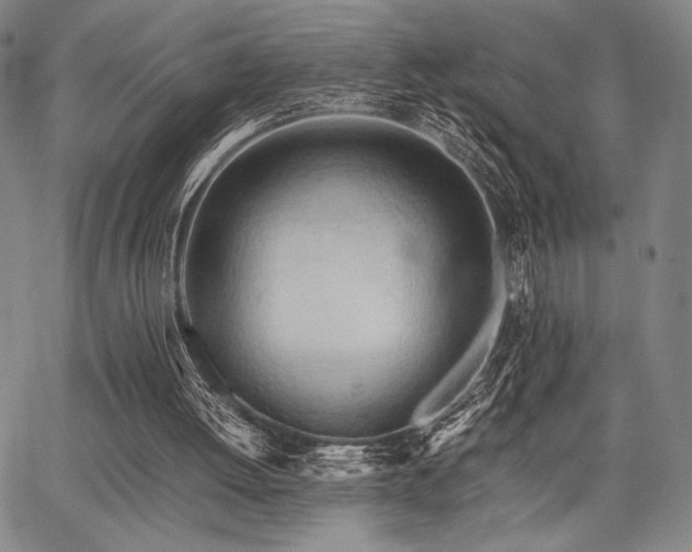 X0000067830052200604131211