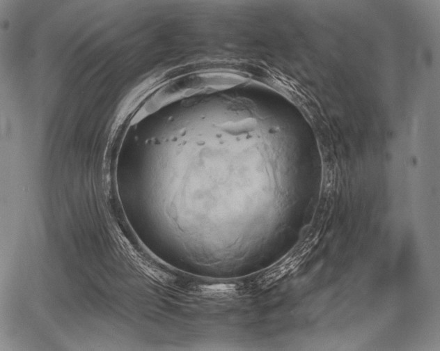 X0000067830053200604131211