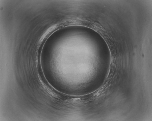 X0000067830054200604131211