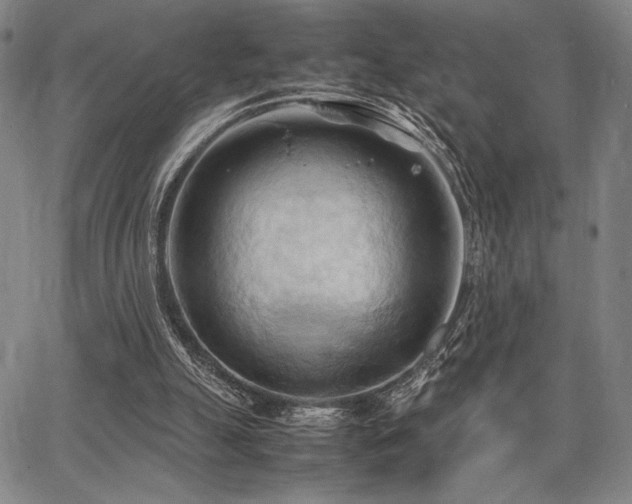 X0000067830055200604131211