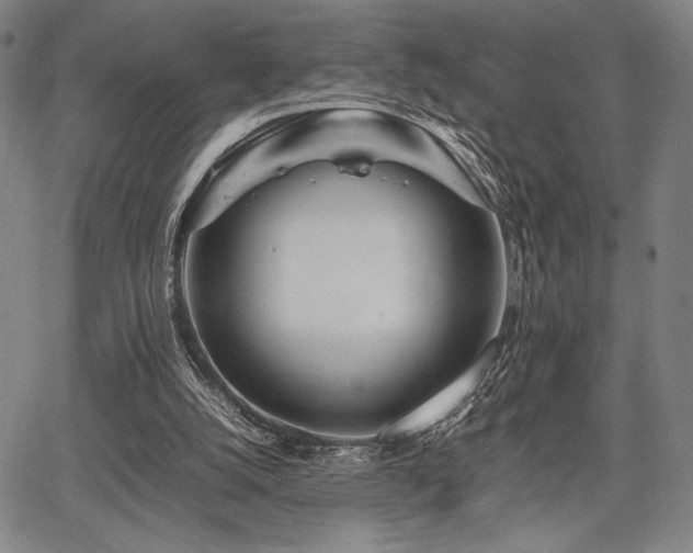 X0000067830056200604131211