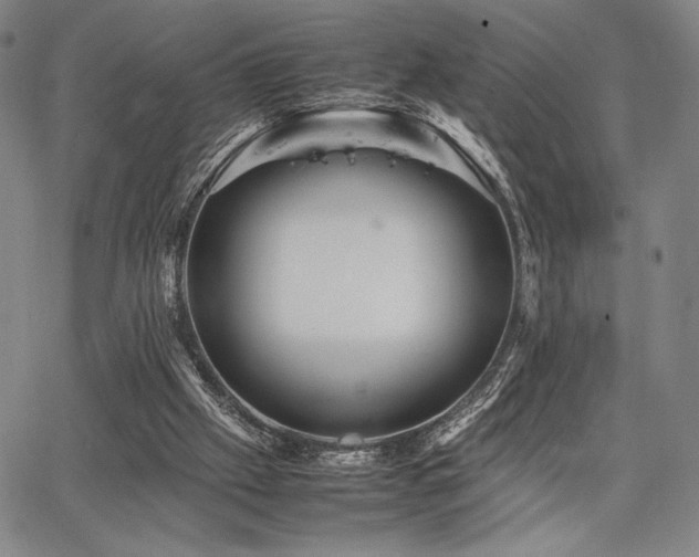 X0000067830057200604131211