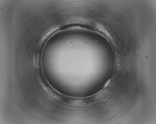 X0000067830058200604131211