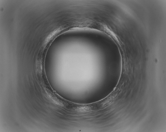 X0000067830059200604131211