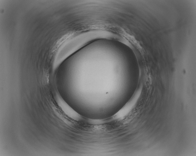 X0000067830060200604131211