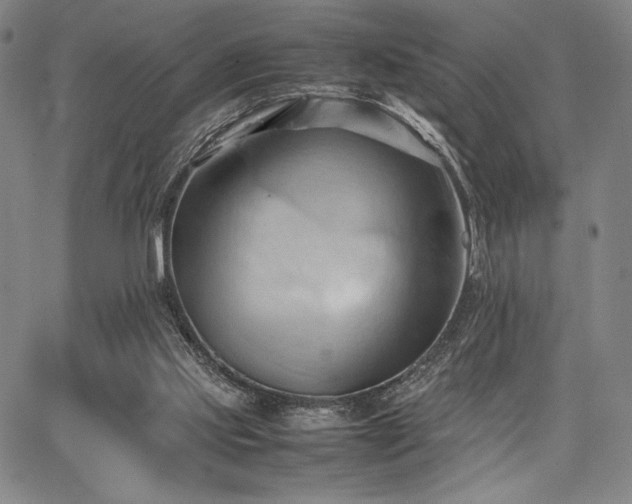 X0000067830061200604131211