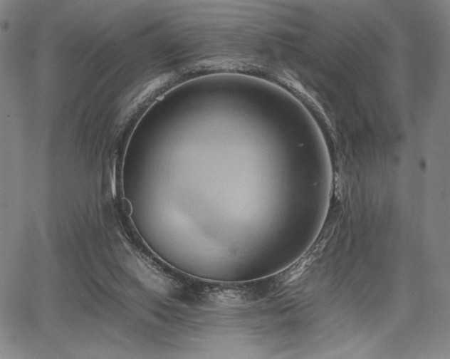 X0000067830062200604131211