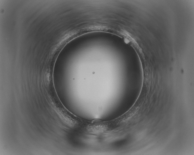 X0000067830063200604131211