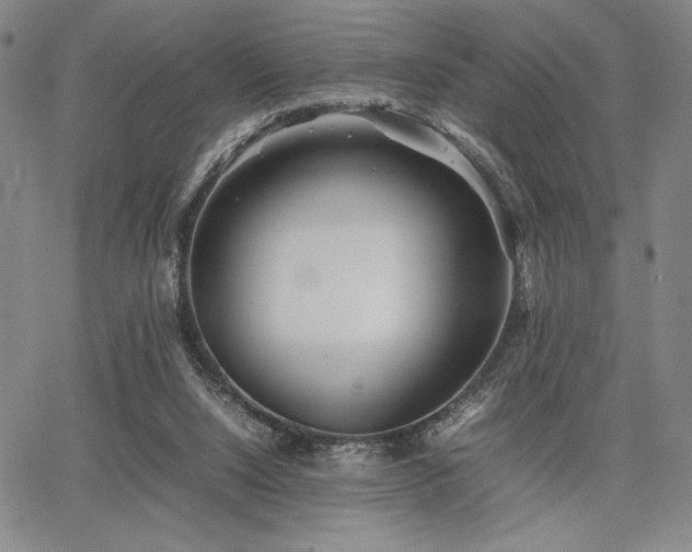 X0000067830064200604131211