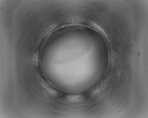 X0000067830065200604131211