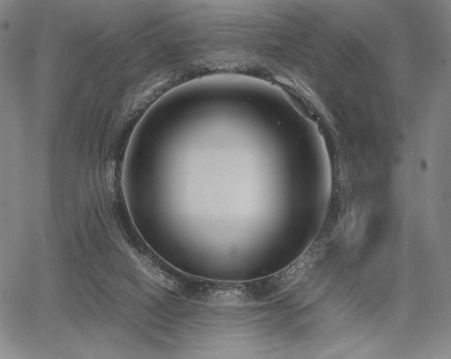 X0000067830066200604131211