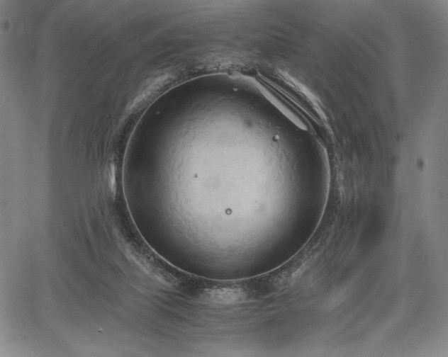 X0000067830067200604131211