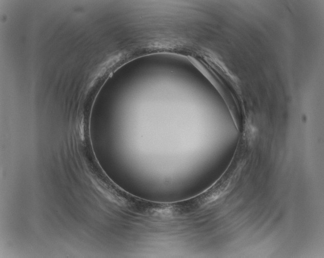 X0000067830068200604131211