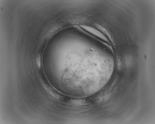 X0000067830069200604131211