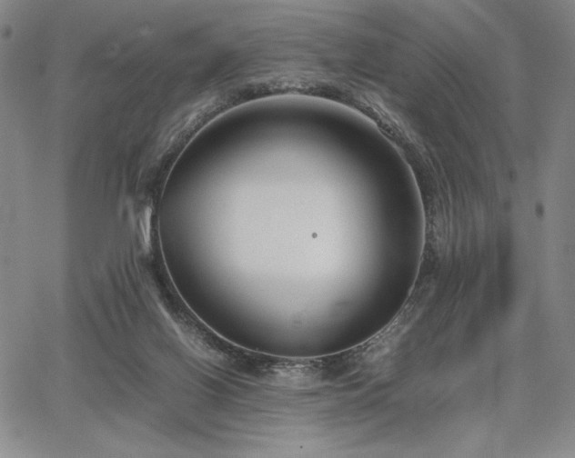 X0000067830070200604131211