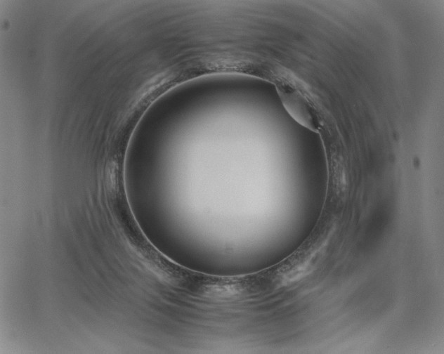 X0000067830071200604131211