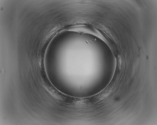 X0000067830072200604131211